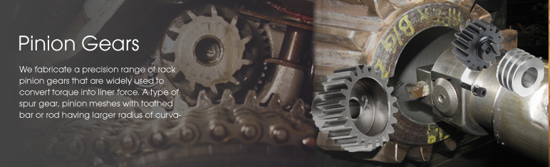 Pinion Gears, Manufacturer in India